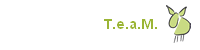 team